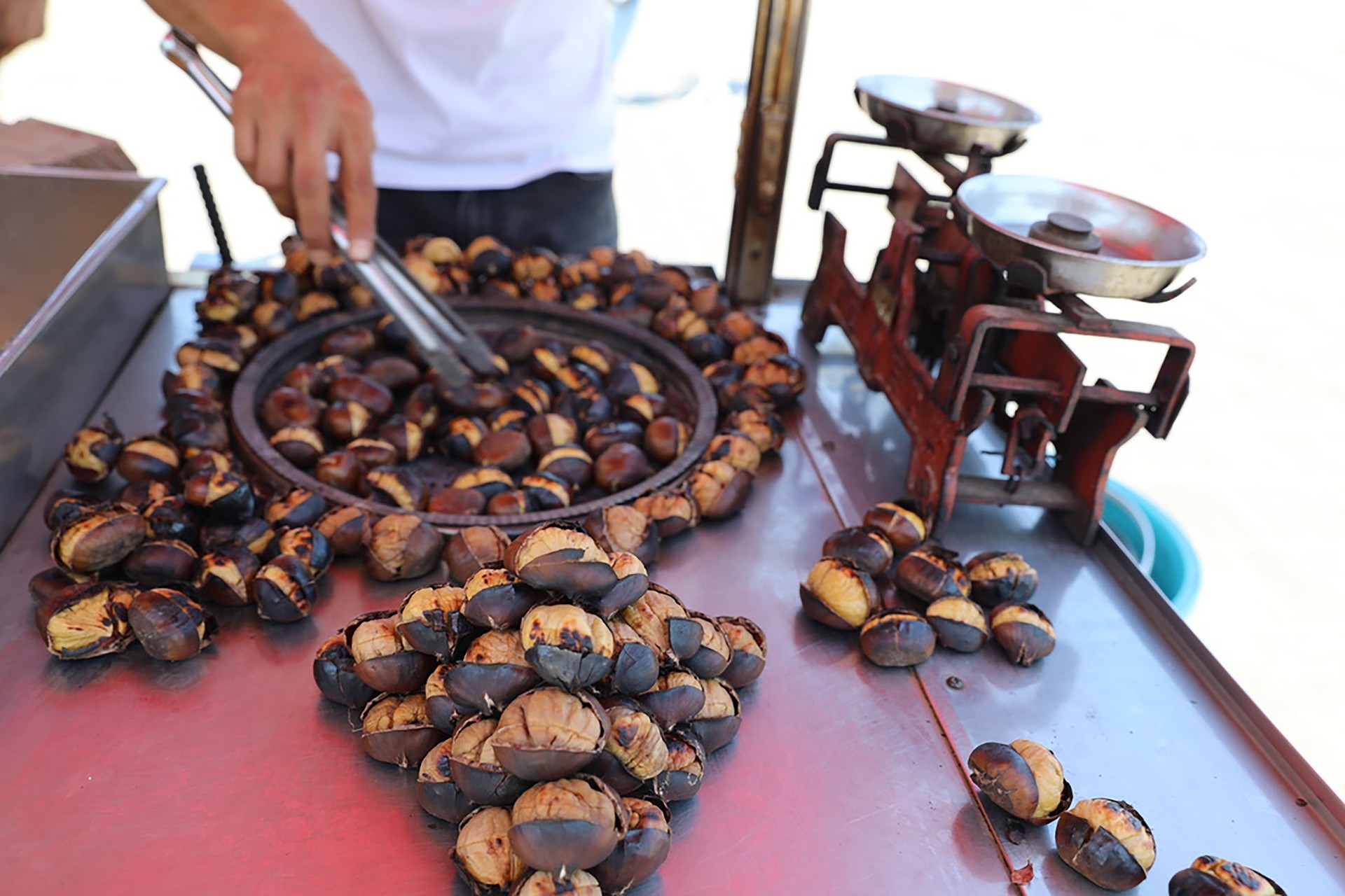 Roasted chestnut!